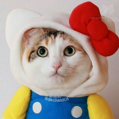 山下智子