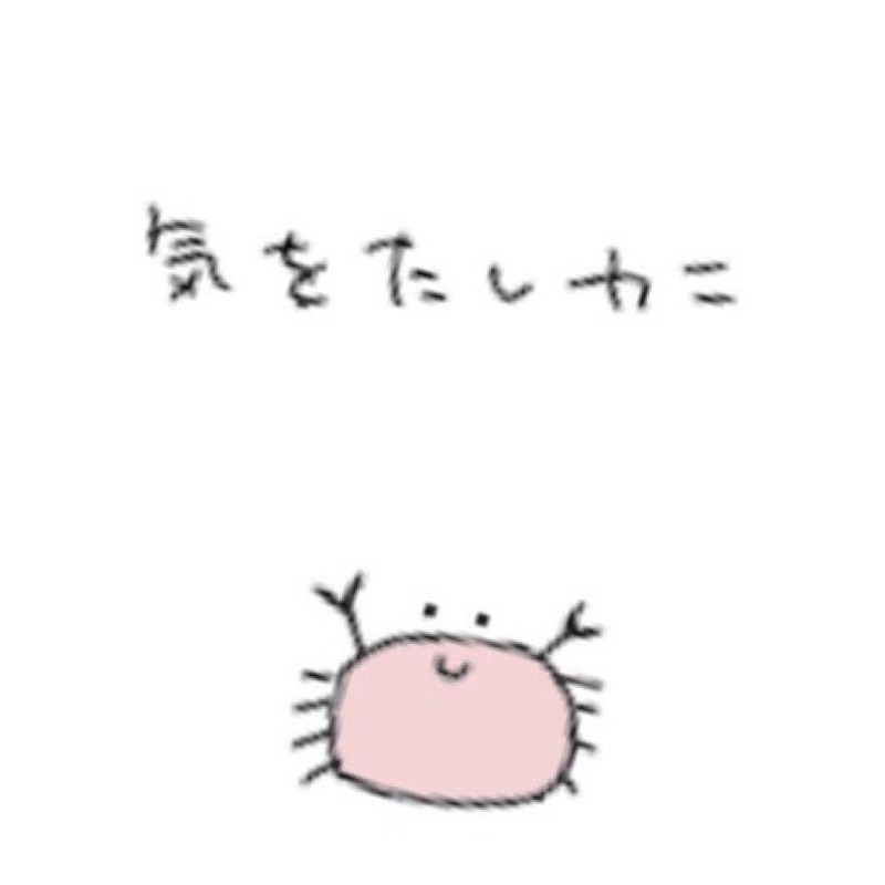 きぬこ