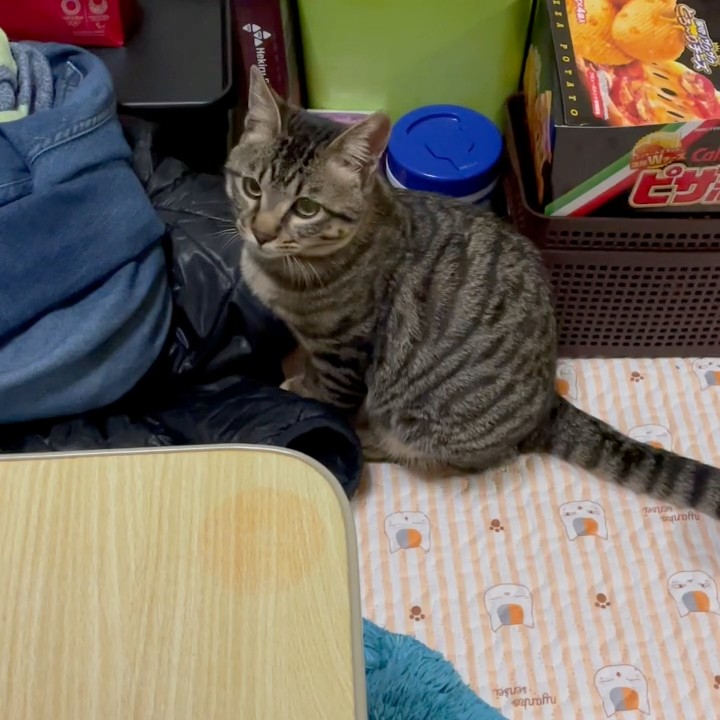 みわ