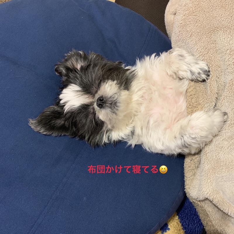 山野明美