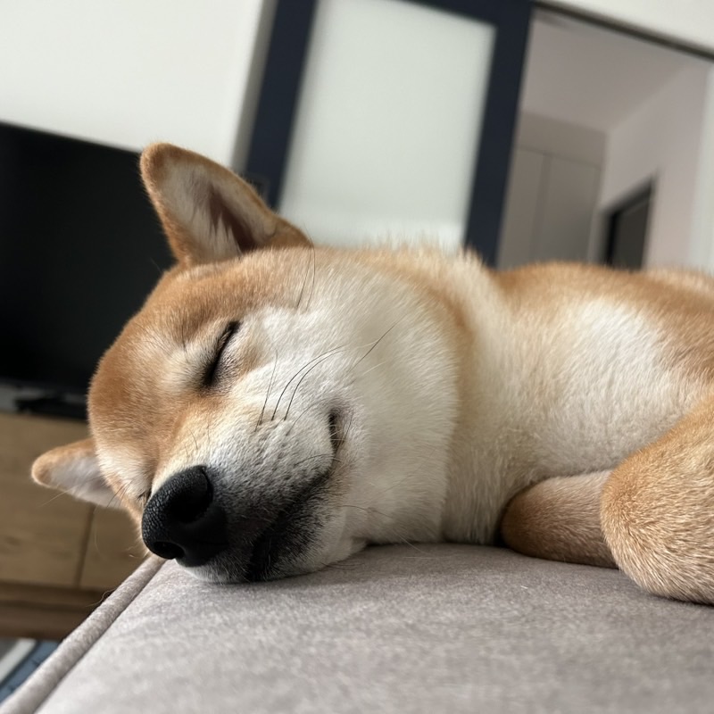 坂本　冴