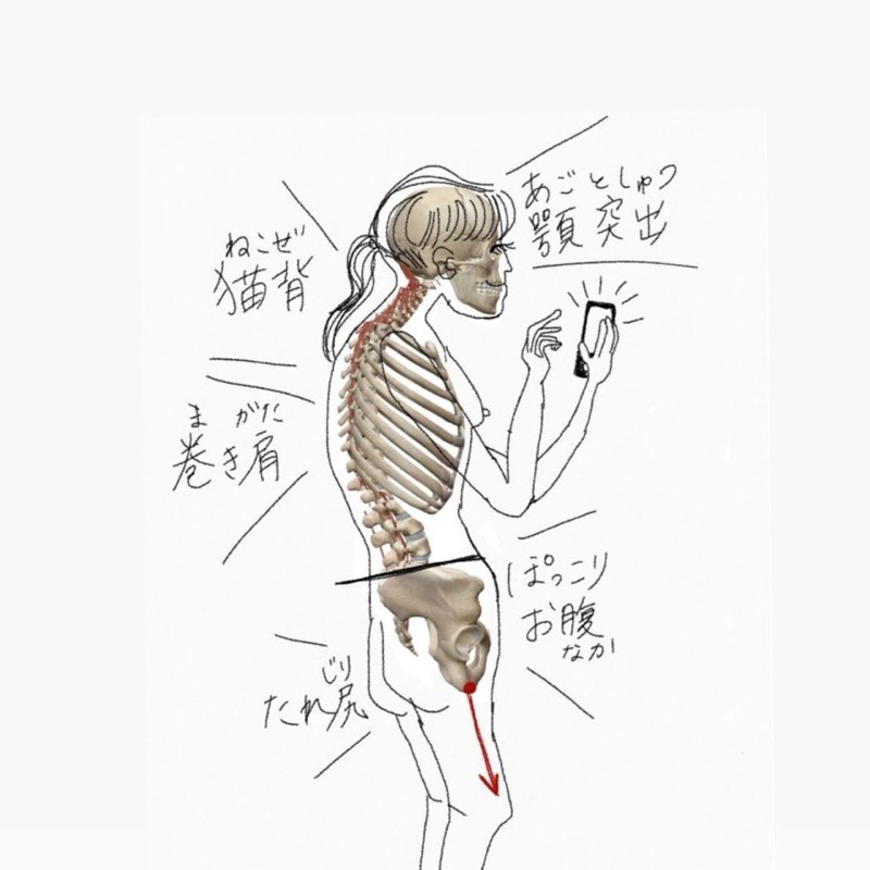 吉田有希