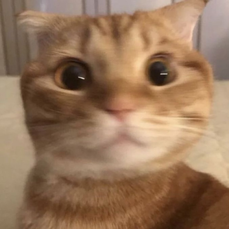 りゅーや