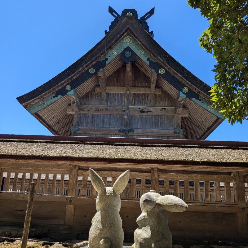 まゆみ
