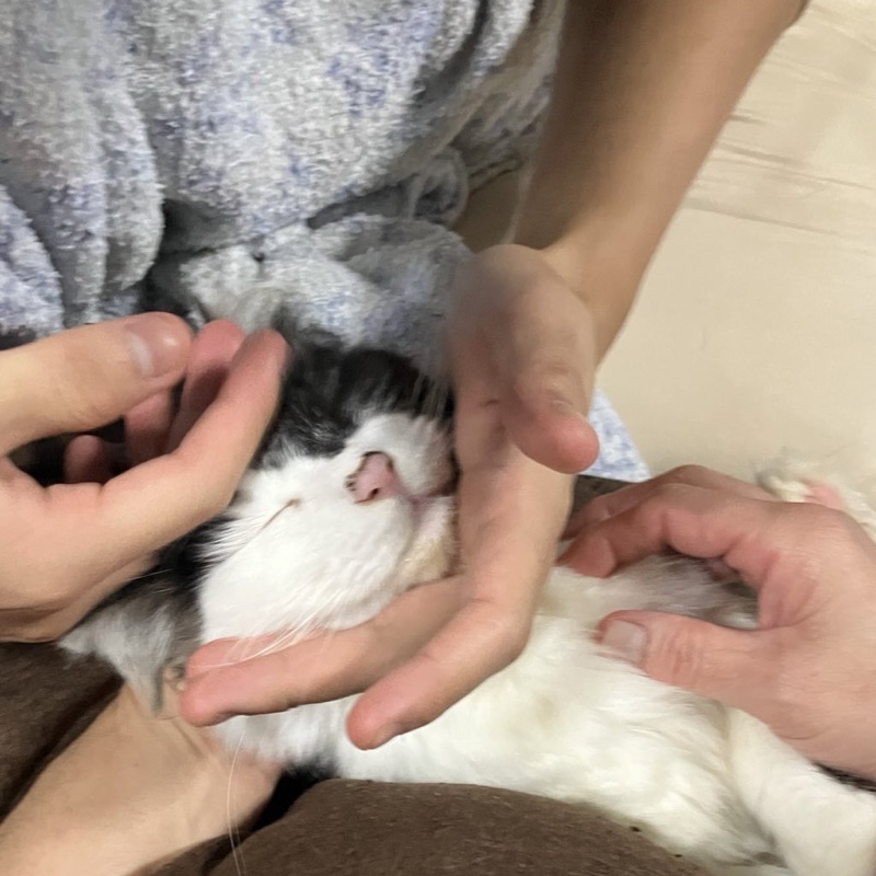ちなつ