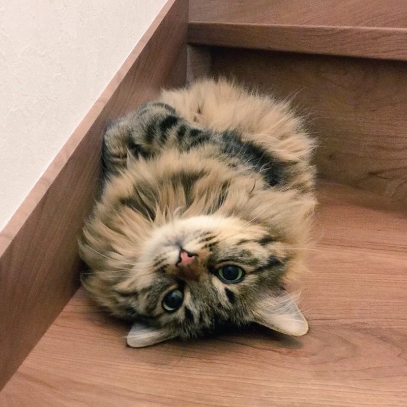 亜紀
