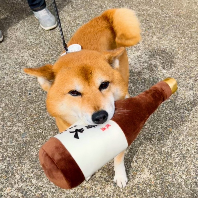 のっぺ