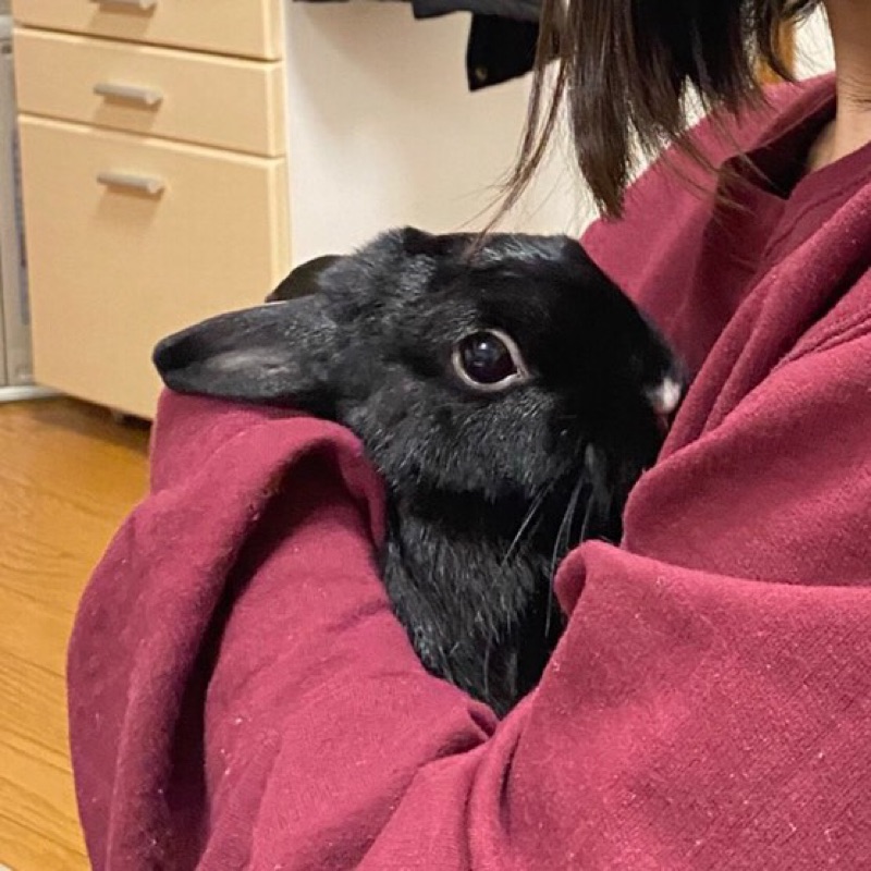 大竹 真璃亜