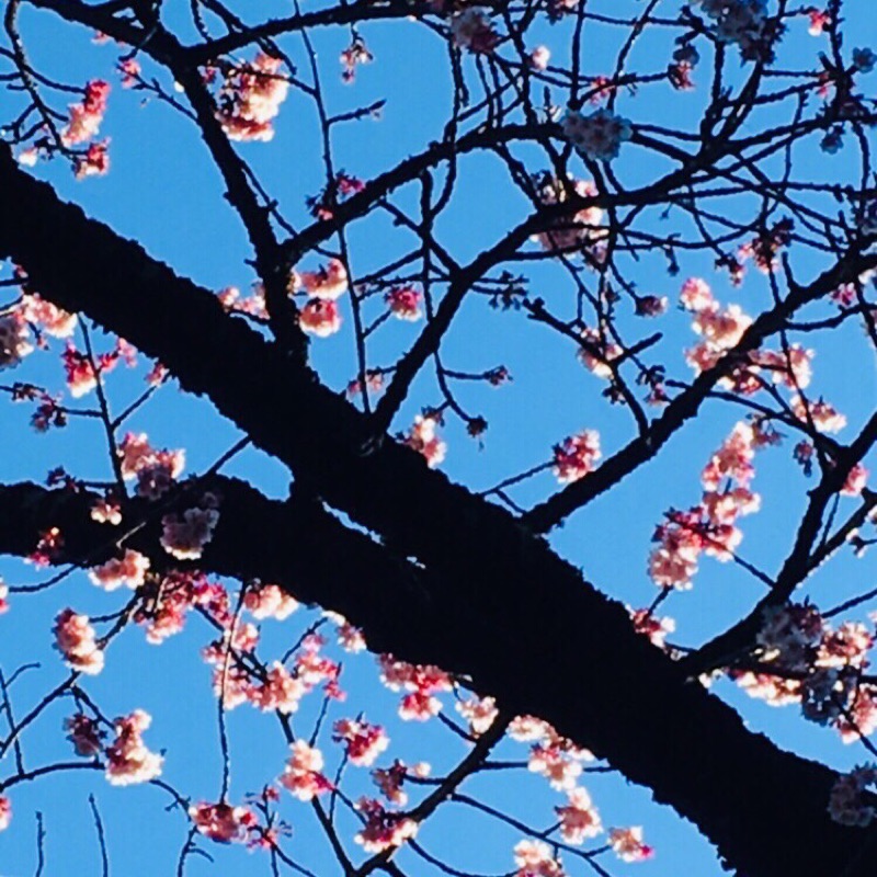 ふ