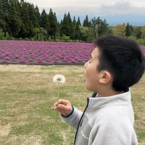 ちえ