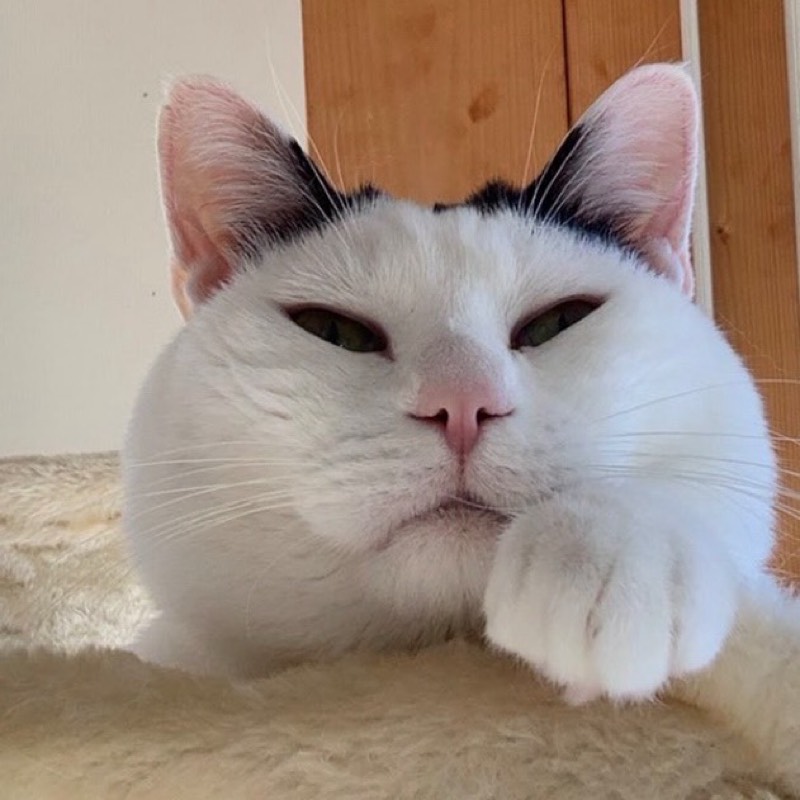 たま