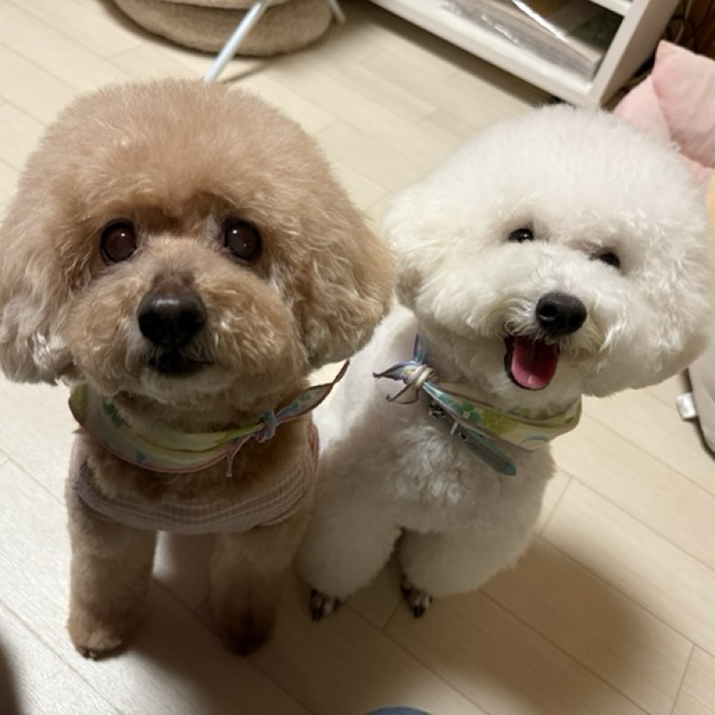 佐藤