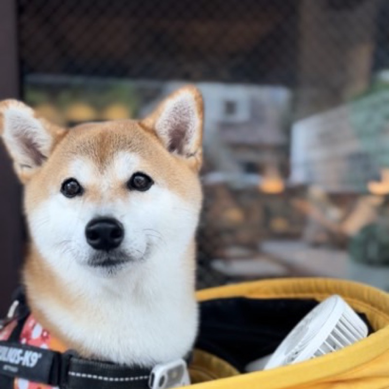 もちょぱ