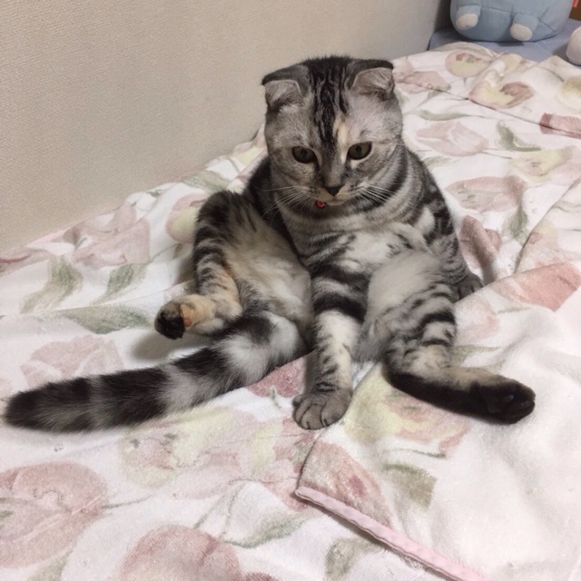 西川てるみ