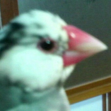 えみたんの