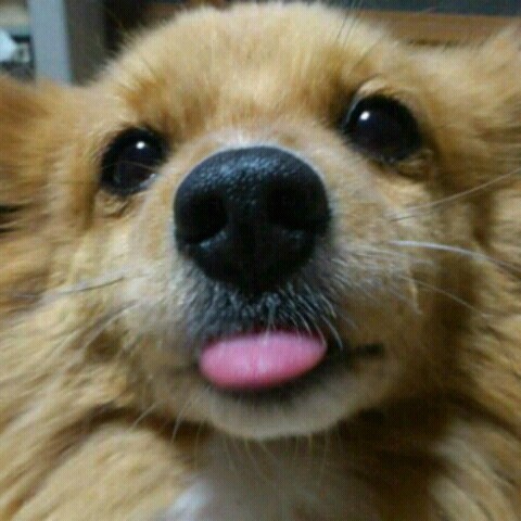 大槻久美子