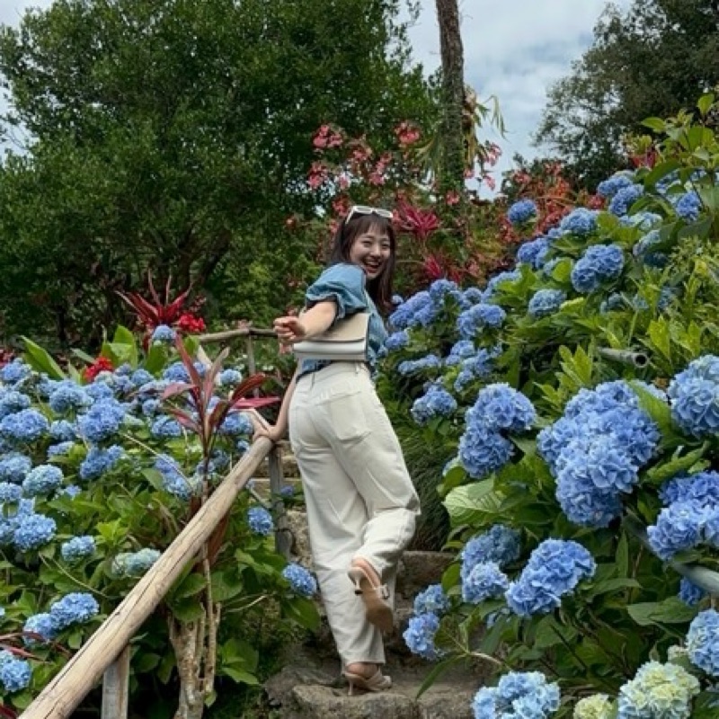 Akiyo