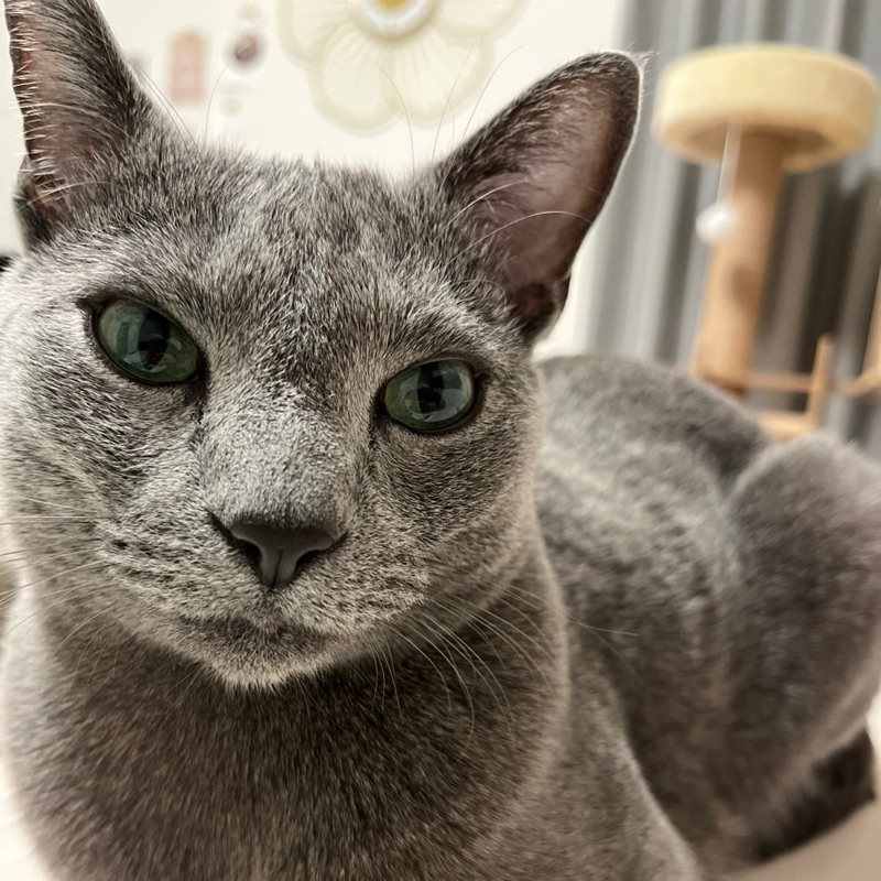 ma