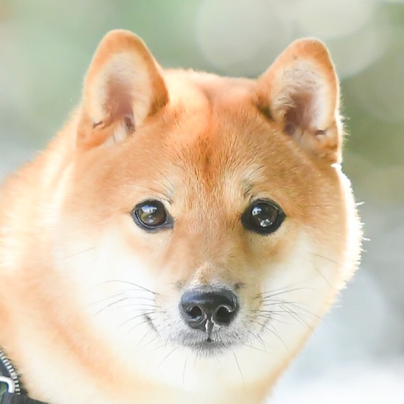 南 明日香