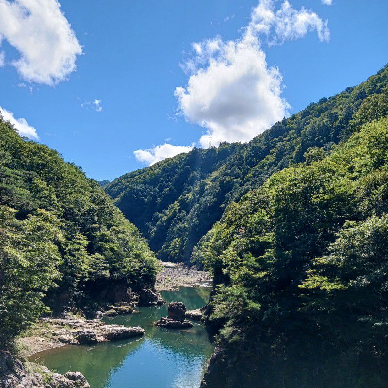 関矢久美子
