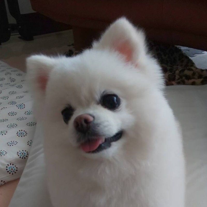 福島　育美
