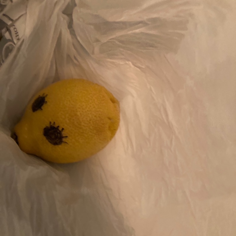 もり