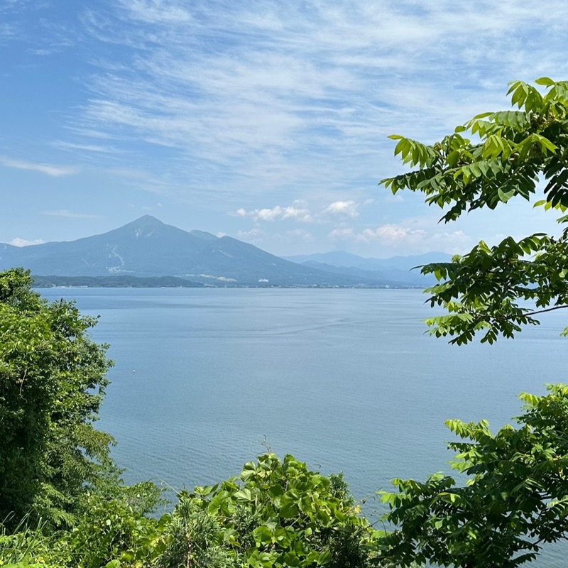 酒井諭美子