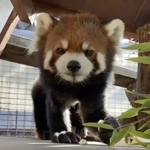 めぐみ