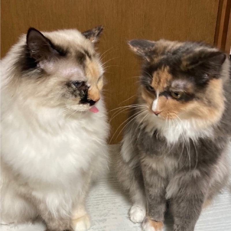 北　ミキ