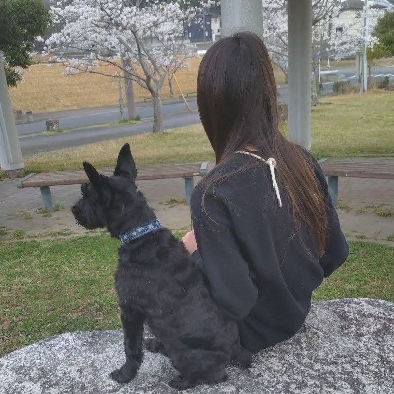 今井　千秋