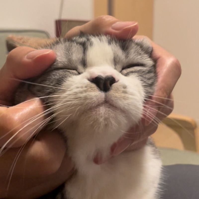 酒匂友太郎