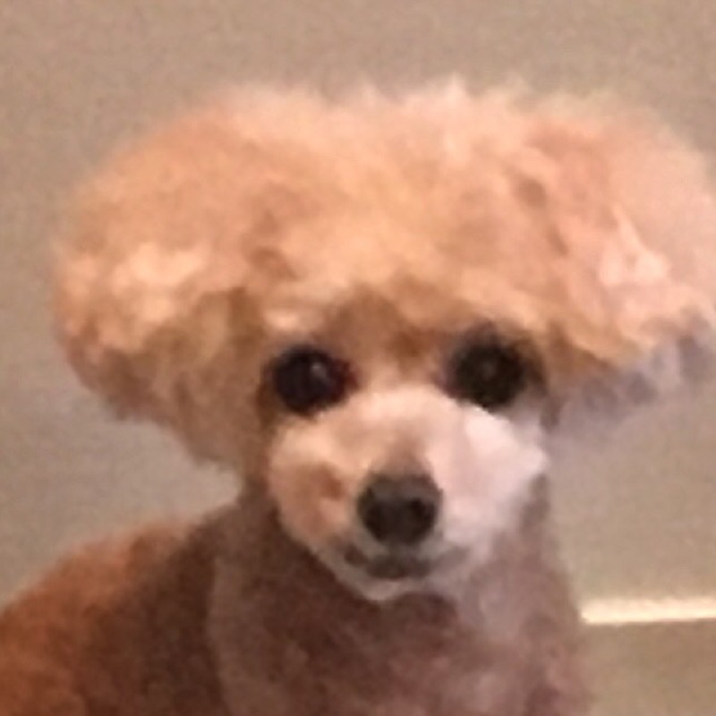 井口あかり