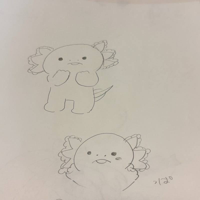 渡部　真紀