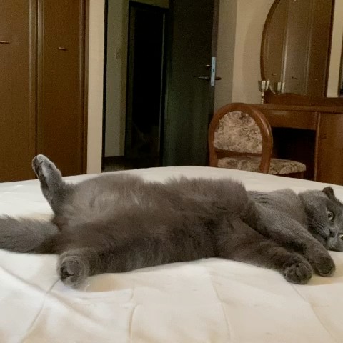 ルーミン