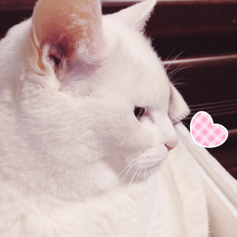 はるこ