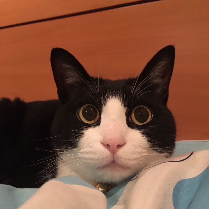 あっき