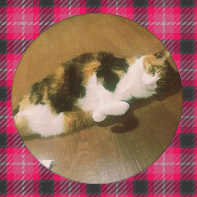 フラワー