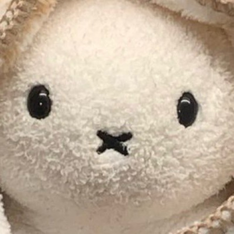 六田愛純