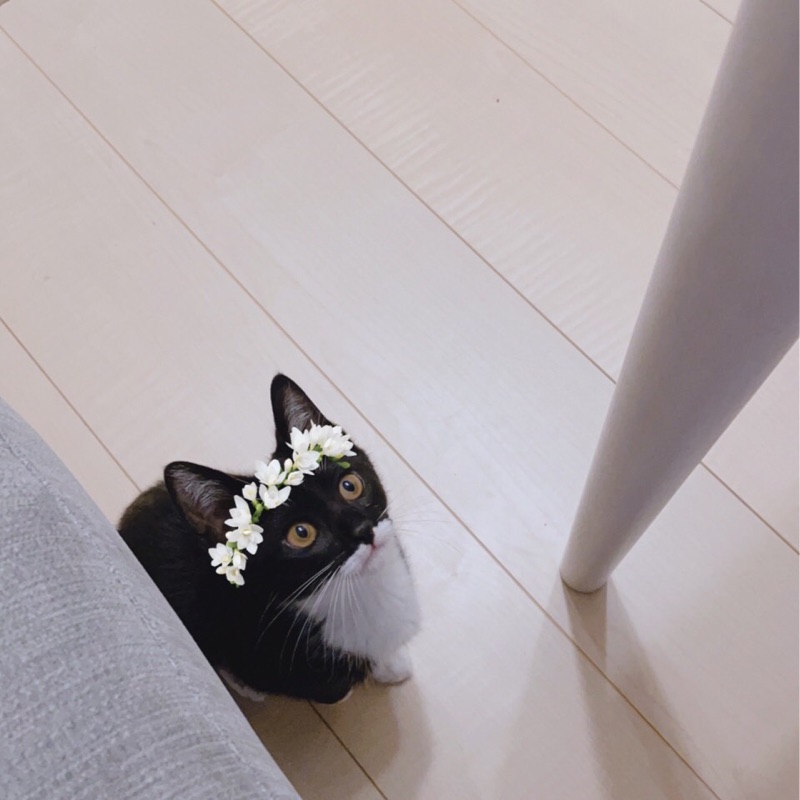 香川晃澄