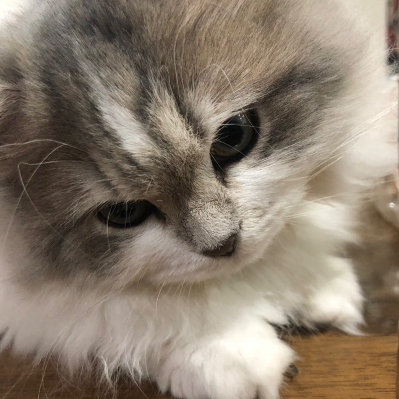 長井琉輝