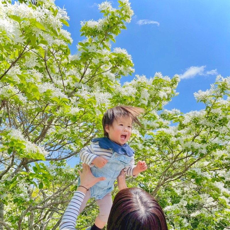ぴっちゃんママ