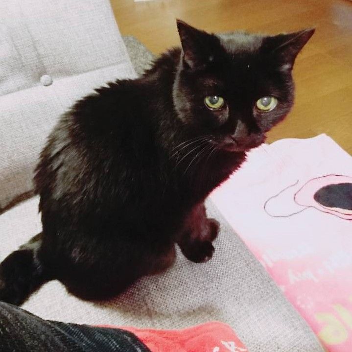 田中　幸子