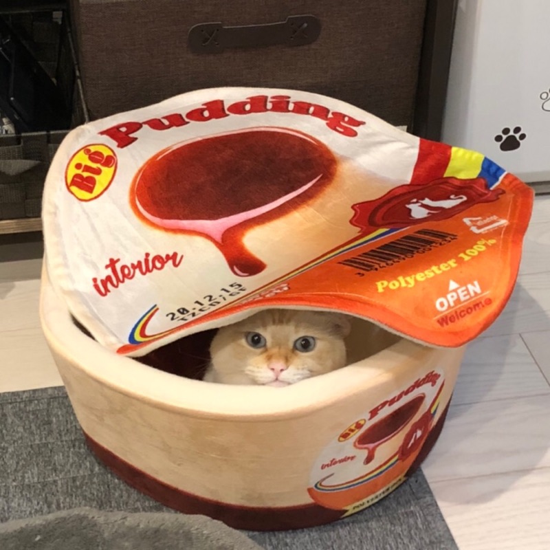 久保佐知子