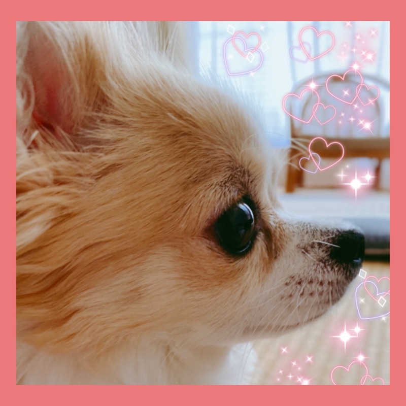 ようこ