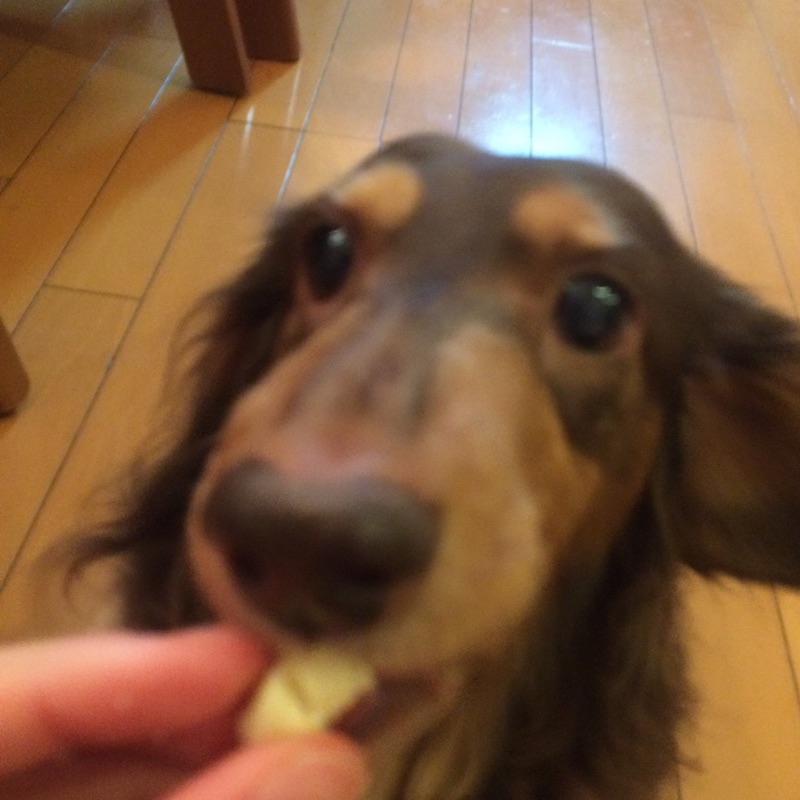 さとみ