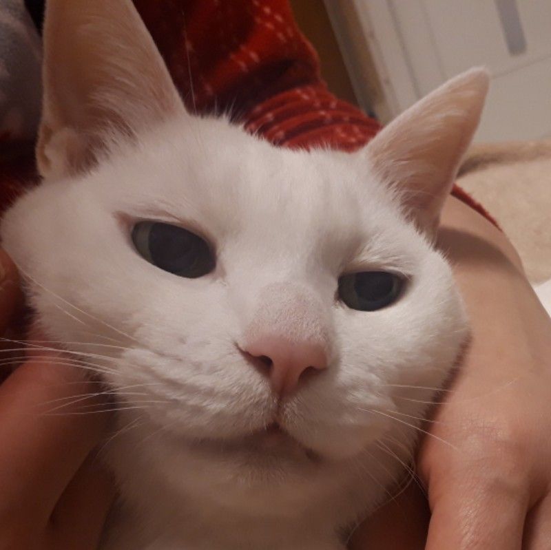 倉俣裕美