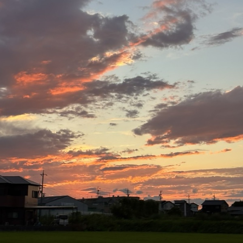 澤田　ひろみ
