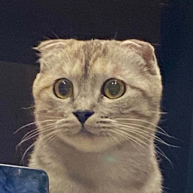かれん