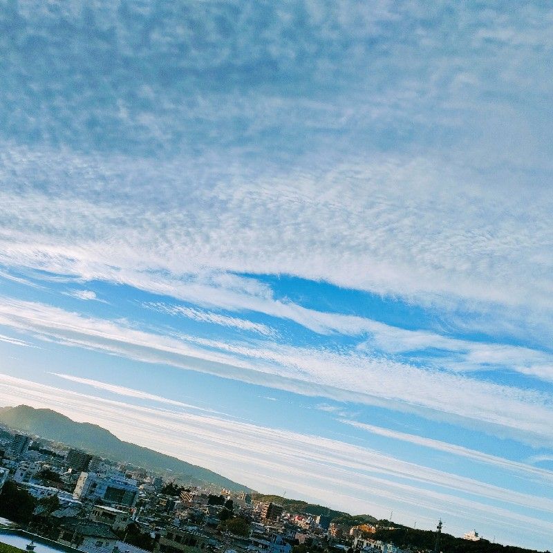 匿名さん