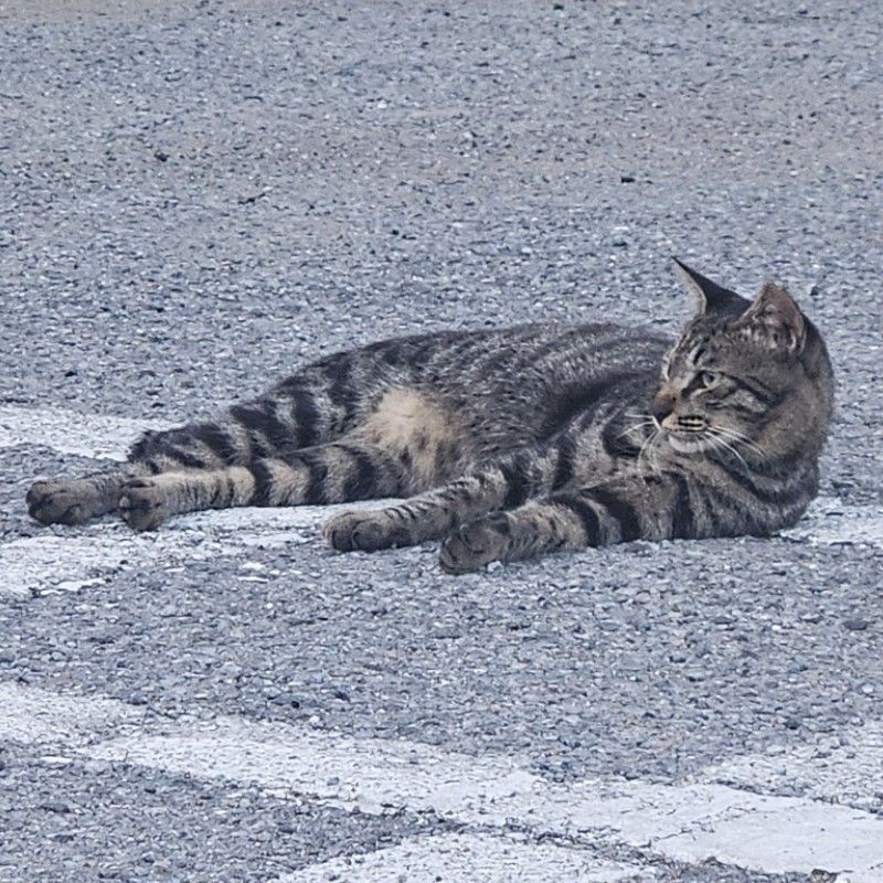 リ　ホンジュン